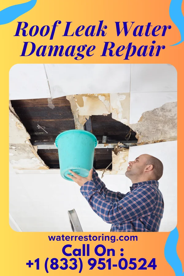 Roof Leak Water Damage Repair in Seven Points, TX
